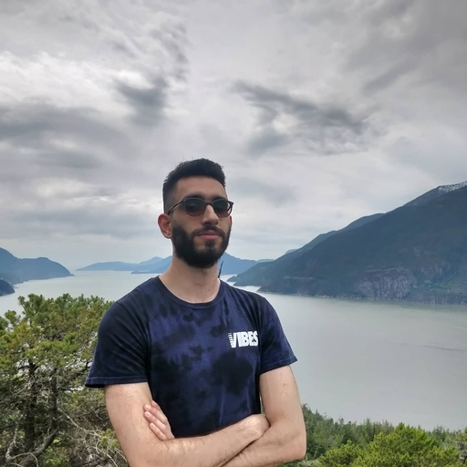 Sina Zareian